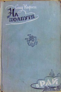 На полпути в рай - Саид Нафиси