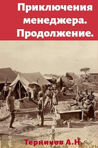 Приключения менеджера. Продолжение - Александр Николаевич Терников