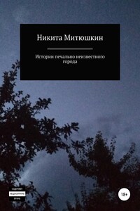 Истории печально неизвестного города - Никита Митюшкин