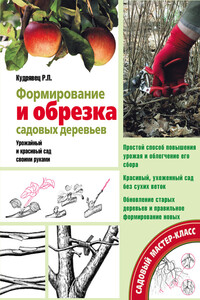 Формирование и обрезка садовых деревьев - Роман Петрович Кудрявец