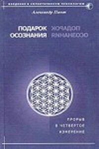 Подарок осознания - Александр Александрович Пинт