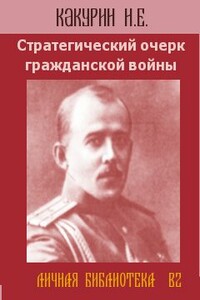 Стратегический очерк гражданской войны - Николай Евгеньевич Какурин