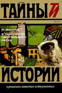 В лабиринтах смертельного риска - Михаил Владимирович Михалков