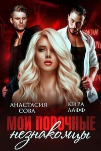 Мои порочные незнакомцы - Кира Лафф