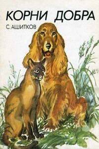 Корни добра (Главы из книги) - Сергей Ростиславович Ашитков