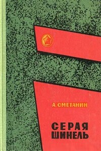 Серая шинель - Александр Иванович Сметанин