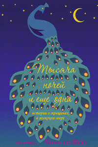 Тысяча ночей и еще одна. Истории о женщинах в мужском мире - Ханан аль-Шейх