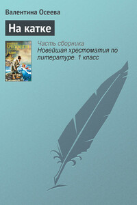 На катке - Валентина Александровна Осеева