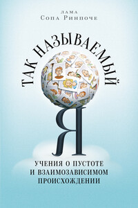 Так называемый Я. Учения о пустоте и взаимозависимом происхождении - Лама Сопа Ринпоче