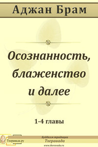 Осознанность, блаженство и далее - Аджан Брам