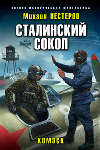 Комэск - Михаил Альбертович Нестеров