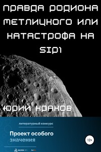 Правда Родиона Метлицкого или катастрофа на SIP1 - Юрий Краков