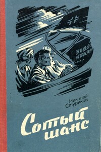 Сотый шанс - Николай Андреевич Стуриков