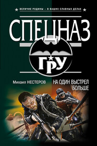 На один выстрел больше - Михаил Петрович Нестеров