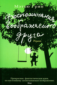 Воспоминания воображаемого друга - Мэтью Грин