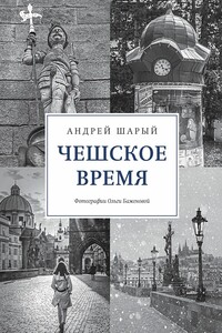 Чешское время. Большая история маленькой страны: от святого Вацлава до Вацлава Гавела - Андрей Васильевич Шарый