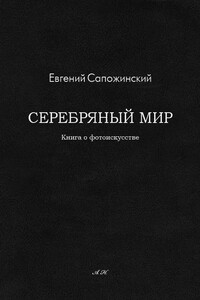 Серебряный мир - Евгений Владимирович Сапожинский