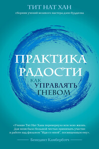 Практика радости. Как управлять гневом - Тхить Нят Хань