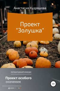 Проект «Золушка» - Анастасия Кудряшова