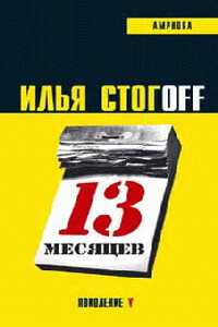 13 месяцев - Илья Юрьевич Стогов