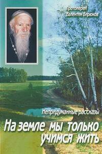 На земле мы только учимся жить. Непридуманные рассказы. - Протоиерей Валентин Бирюков