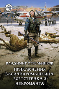 Приключения Василия Ромашкина, бортстрелка и некроманта - Владимир Валериевич Стрельников