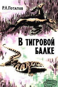 В Тигровой балке - Роальд Леонидович Потапов