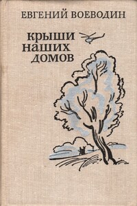 Крыши наших домов - Евгений Всеволодович Воеводин