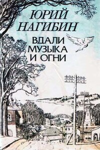 Шестнадцать процентов - Юрий Маркович Нагибин