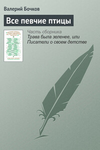 Все певчие птицы - Валерий Борисович Бочков