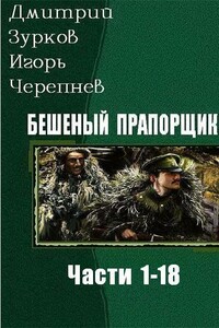 Бешеный прапорщик. Части 1-18 - Дмитрий Аркадьевич Зурков