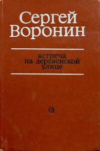 Встреча на деревенской улице - Сергей Алексеевич Воронин