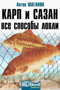 Карп и сазан. Все способы ловли - Антон Шаганов