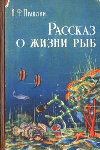 Рассказ о жизни рыб - Иван Федорович Правдин