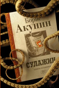 Сулажин - Борис Акунин