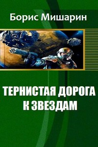 Тернистая дорога к звездам - Борис Петрович Мишарин