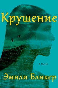 Крушение - Эмили Бликер