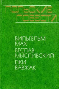 Польские повести - Веслав Мысливский