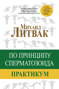 По принципу сперматозоида. Практикум - Михаил Ефимович Литвак