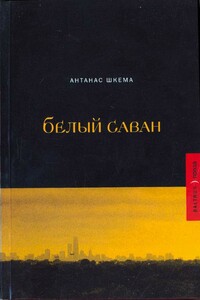 Солнечные дни - Антанас Шкема