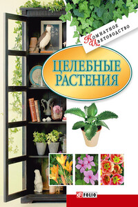 Целебные растения - Татьяна Николаевна Дорошенко