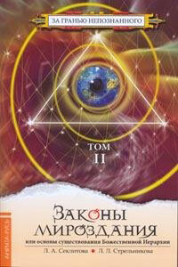 Законы мироздания, или Основы существования Божественной Иерархии. Том 2 - Лариса Александровна Секлитова