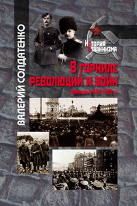 В горниле революций и войн: Украина в 1917-1920 гг. историко-историографические эссе - Валерий Федорович Солдатенко