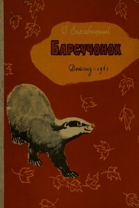 Барсучонок - Георгий Алексеевич Скребицкий