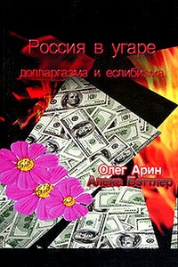 Россия в угаре долларгазма и еслибизма - Олег Арин