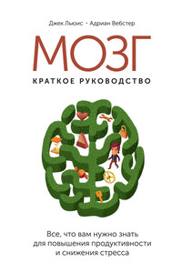 Мозг: краткое руководство. Все, что вам нужно знать для повышения эффективности и снижения стресса - Джек Льюис