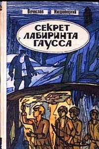 Секрет лабиринта Гаусса - Вячеслав Андреевич Имшенецкий