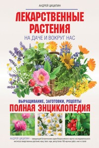 Лекарственные растения на даче и вокруг нас. Полная энциклопедия - Андрей Николаевич Цицилин