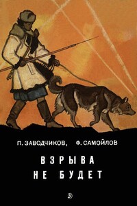 Взрыва не будет - Пётр Алексеевич Заводчиков