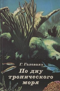 По дну тропического моря - Георгий Афанасьевич Головань